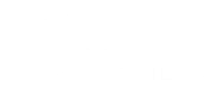 Certified Linc Personality Profiler Coach